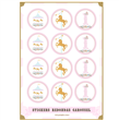 Stickers plancha Carousel Rose redondas 12s 1u